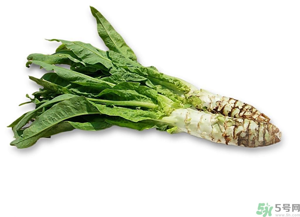 新鮮的萵筍怎么保存？削皮的萵筍怎么保存？