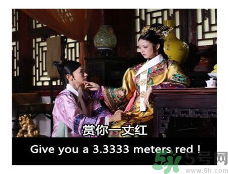 什么是蜀葵？蜀葵是一丈紅嗎？