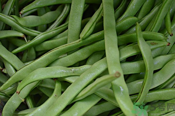 四季豆沒(méi)炒熟有毒嗎？四季豆沒(méi)熟吃了會(huì)怎樣？