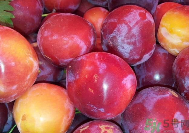 李子可以放冰箱嗎？李子應(yīng)該怎樣保存？