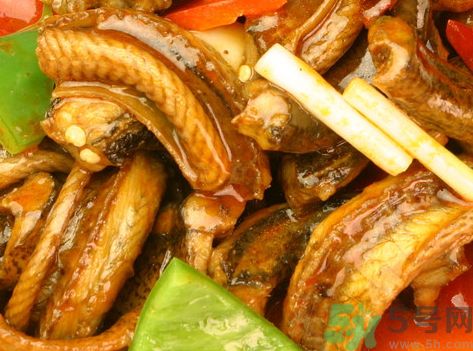 鱔魚是涼性還是熱性?鱔魚是熱性的嗎? 鱔魚是涼性還是熱性?鱔魚是熱性的嗎?