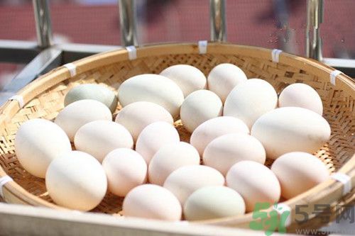 咸鴨蛋可以保放多久?咸鴨蛋保存方法 咸鴨蛋可以保放多久?咸鴨蛋保存方法