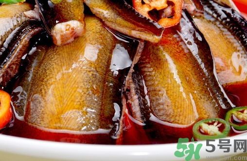 鱔魚可以和雞湯一起吃嗎?鱔魚能和雞湯同吃嗎? 鱔魚可以和雞湯一起吃嗎?鱔魚能和雞湯同吃嗎?