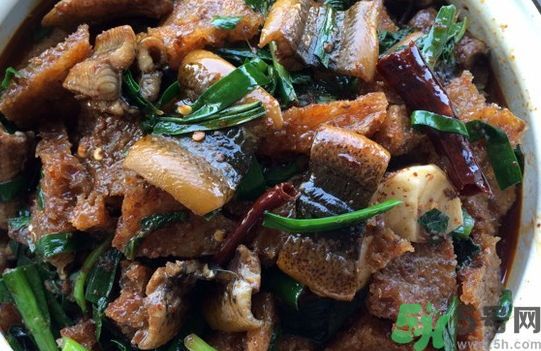 鱔魚可以和雞湯一起吃嗎?鱔魚能和雞湯同吃嗎? 鱔魚可以和雞湯一起吃嗎?鱔魚能和雞湯同吃嗎?