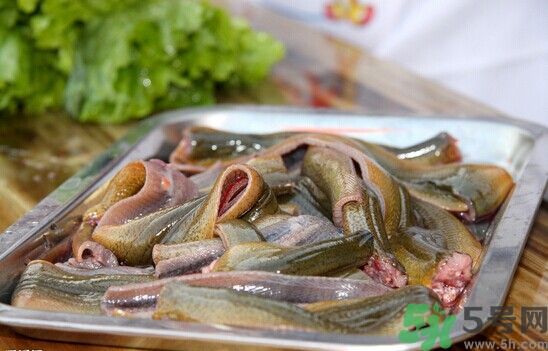 吃鱔魚(yú)可以喝牛奶嗎?鱔魚(yú)能和牛奶一起吃嗎?