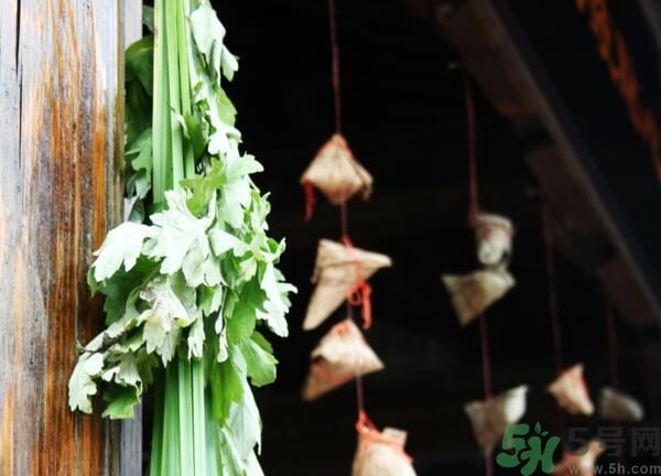 艾葉有什么保健作用？艾葉怎么使用？