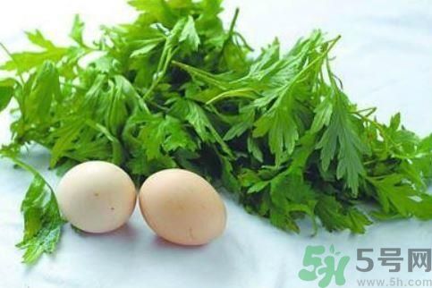 艾葉有什么保健作用？艾葉怎么使用？