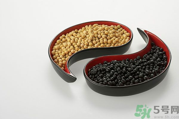 備孕期間吃什么促排卵？備孕期間吃什么好？