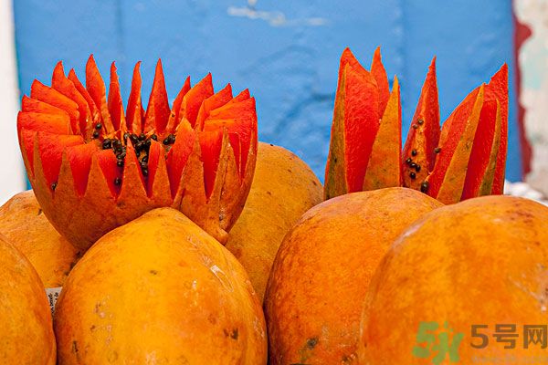 木瓜是水果還是蔬菜？青木瓜是水果嗎？