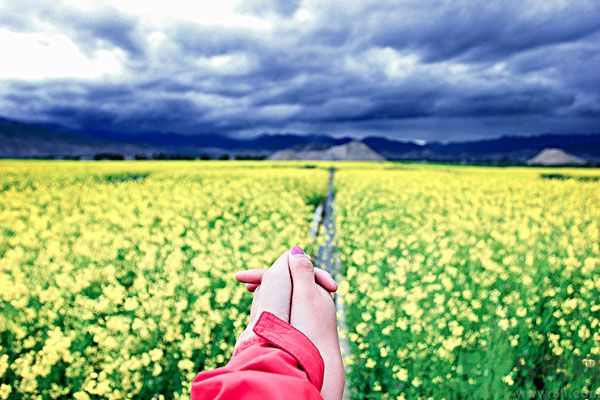 我被別人當(dāng)備胎怎么辦？什么人最容易成為備胎？