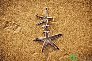 我被別人當(dāng)備胎怎么辦？什么人最容易成為備胎？