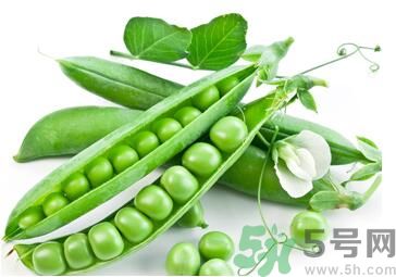 吃豌豆可以喝牛奶嗎？吃豌豆的時(shí)候可以喝牛奶嗎？