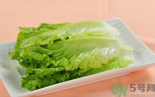 生菜會引起過敏嗎？吃生菜會過敏嗎？