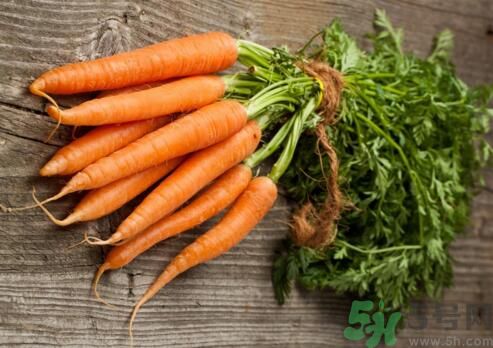 什么樣的胡蘿卜好？怎樣挑選好的胡蘿卜？