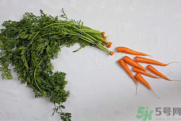 吃西瓜能防曬嗎？吃巧克力能紫外線嗎？