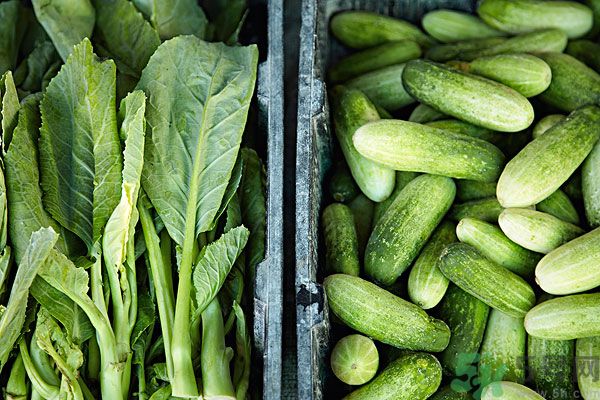 吃黃瓜對(duì)身體有什么好處？每天吃黃瓜的好處有哪些