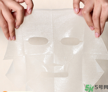 木瓜可以煮粥嗎？木瓜可以煮什么？