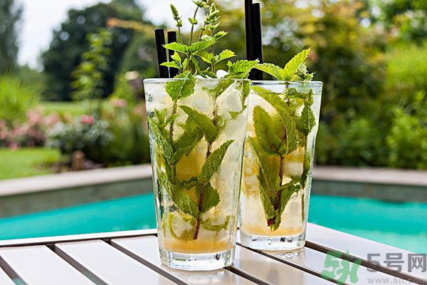 薄荷曬干泡茶有什么好處？薄荷曬干泡水的功效