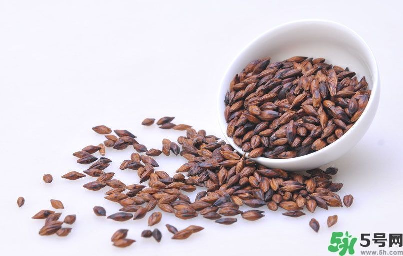 玄米茶和大麥茶的區(qū)別？玄米茶和大麥茶哪個(gè)好？