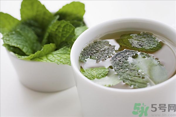 薄荷能美白嗎？薄荷的功效與作用