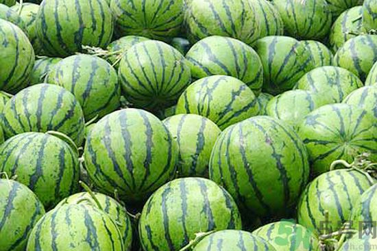 西瓜怎么挑熟的甜的？西瓜的儲存方法？