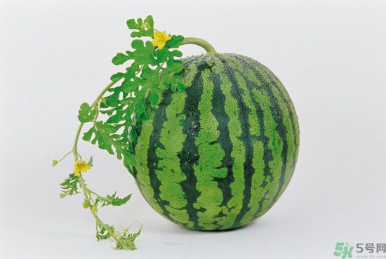 西瓜怎么挑熟的甜的？西瓜的儲存方法？