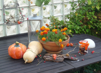 南瓜吃了皮膚會變黃嗎？吃南瓜對皮膚有什么影響？