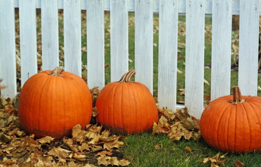 南瓜吃了會胃酸嗎？南瓜吃了胃不舒服怎么回事？