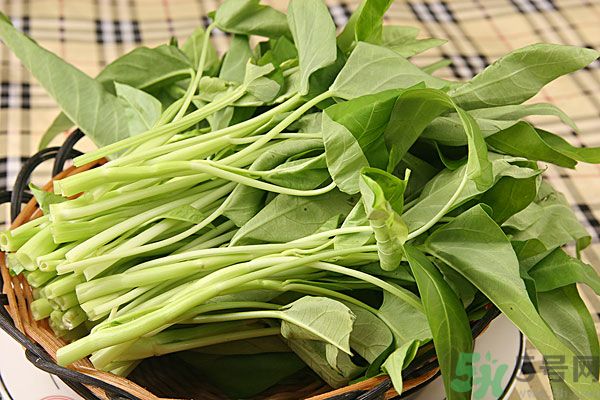 空心菜是菠菜嗎？空心菜是不是菠菜？