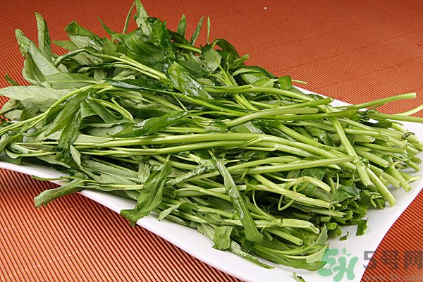 空心菜是菠菜嗎？空心菜是不是菠菜？