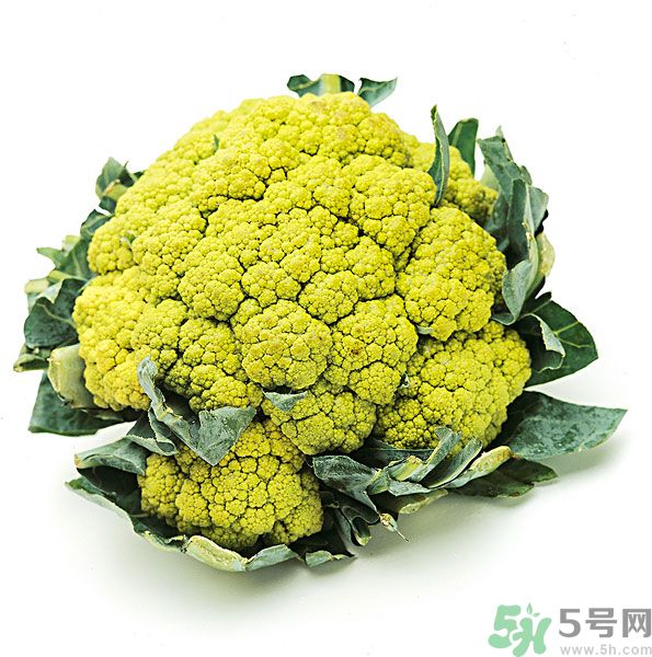 玉川和斯利安哪個(gè)好？葉酸片什么牌子最好？