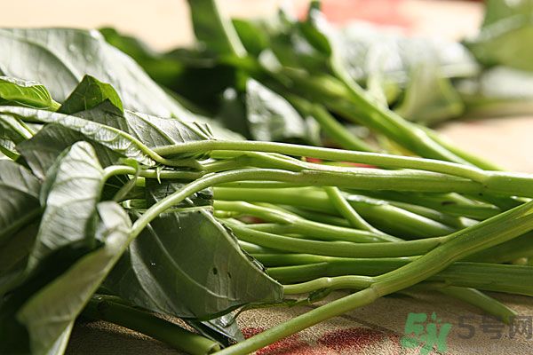 空心菜是菠菜嗎？空心菜是不是菠菜？