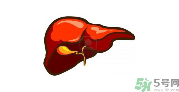 在外面吃飯會(huì)得乙肝嗎？在食堂吃飯會(huì)得乙肝嗎？