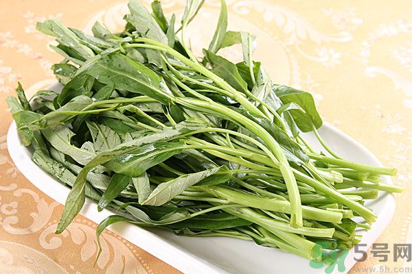 空心菜是菠菜嗎？空心菜是不是菠菜？