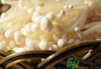 金針菇有毒嗎?金針菇有沒有毒? 金針菇有毒嗎?金針菇有沒有毒?