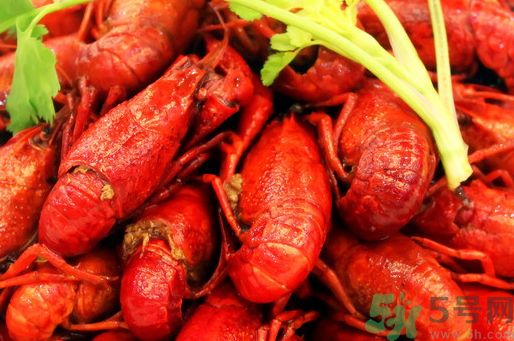 龍蝦怎么燒?龍蝦怎么燒最好吃? 龍蝦怎么燒?龍蝦怎么燒最好吃?