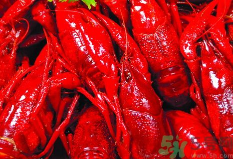 龍蝦怎么燒?龍蝦怎么燒最好吃? 龍蝦怎么燒?龍蝦怎么燒最好吃?