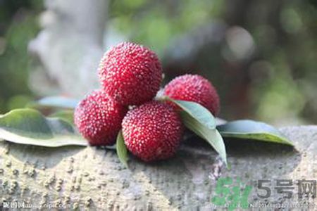 吃楊梅可以防止中暑嗎？中暑可以吃楊梅嗎？