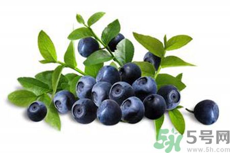 藍(lán)莓是熱性還是涼性？藍(lán)莓是涼性嗎？