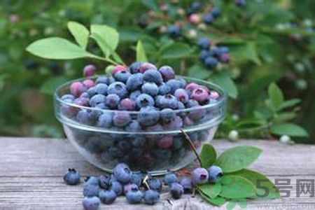 藍(lán)莓是不是發(fā)物？藍(lán)莓是發(fā)物嗎？