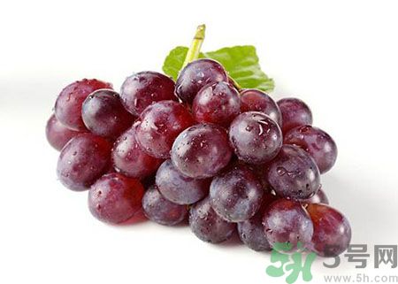 孕婦早期可以吃提子嗎?孕婦吃提子對(duì)胎兒有什么好處