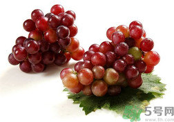 提子皮上的白霜是什么?提子皮上有白霜能吃嗎 提子皮上的白霜是什么?提子皮上有白霜能吃嗎