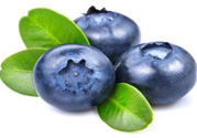 什么是藍莓李果？藍莓李果和藍莓的區(qū)別？