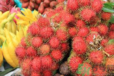 寶寶可以吃紅毛丹嗎？寶寶多大了可以吃紅毛丹？