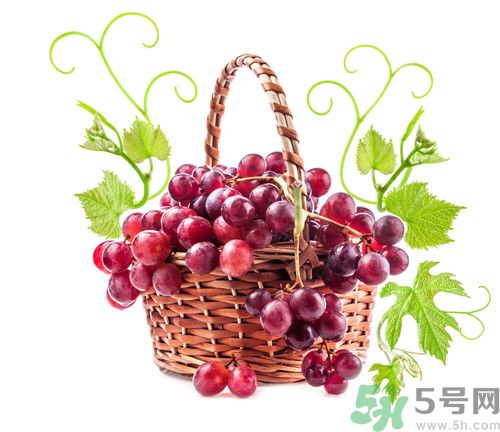 吃提子會(huì)拉肚子嗎?吃提子拉肚子怎么辦 吃提子會(huì)拉肚子嗎?吃提子拉肚子怎么辦