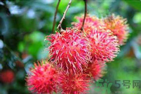 吃紅毛丹可以喝牛奶嗎？紅毛丹和牛奶可以一起吃嗎？