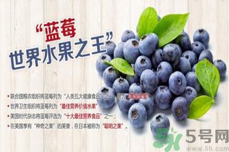 衣服上面染上了藍(lán)莓汁怎么辦？藍(lán)莓漬怎么清洗？