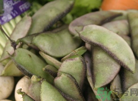 扁豆可以和豆腐一起吃嗎?扁豆能和豆腐同吃嗎? 扁豆可以和豆腐一起吃嗎?扁豆能和豆腐同吃嗎?