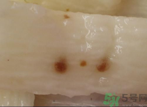 山藥上有黑點(diǎn)還能吃嗎?山藥上的黑點(diǎn)是什么 山藥上有黑點(diǎn)還能吃嗎?山藥上的黑點(diǎn)是什么