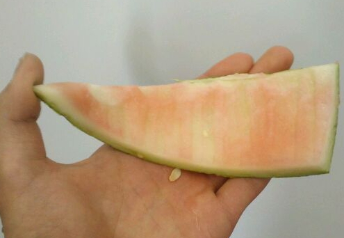 西瓜皮洗臉有什么好處?西瓜皮洗臉的功效與作用 西瓜皮洗臉有什么好處?西瓜皮洗臉的功效與作用